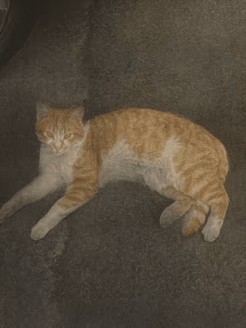 Item #102650025238985064889532626323507420633017859616961165632132730206890896654337 Media