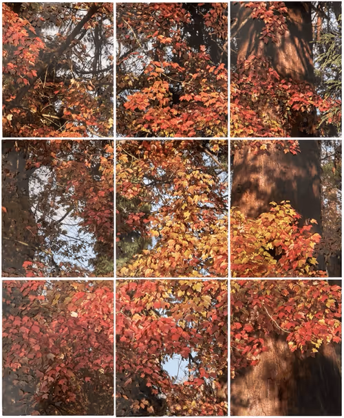 Item #8955452666369490765702763622116220704964274093037672869107848688402098552833 Media