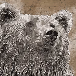 11276162529628641556553056529614973332754405277106184420845745618357963456513