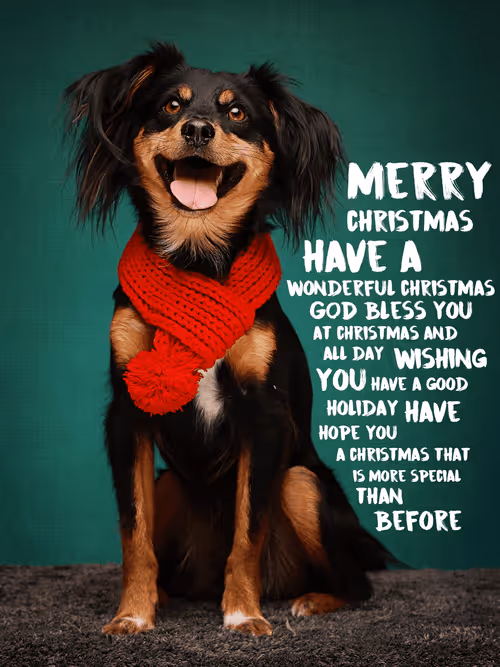 Item #8036610274517614856282005705215780499318604713549687172679363509370065256451 Media