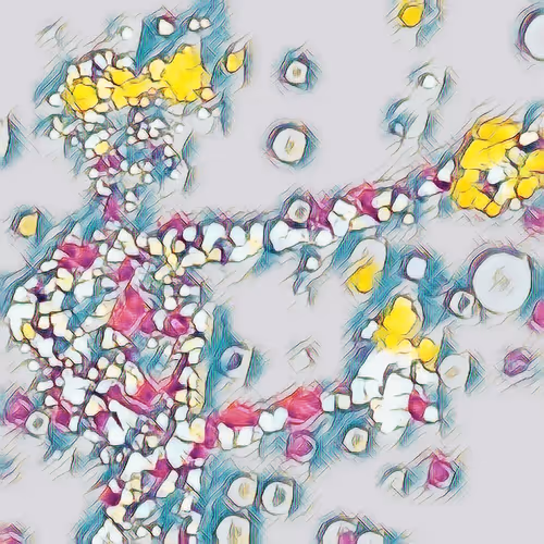 Item #43677637681124857546566976235287214553305943640876348058142639981798096896004 Media