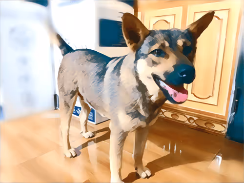 Item #74122138759525378795667626270866148487737655975912799548892275479891473858561 Media