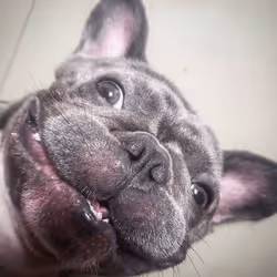 32237202173720727343948986965561335091197107318394763909165930948421562138625