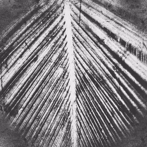 Item #49188710718413262446425824596964854565025683222927729162195606670742873178113 Media