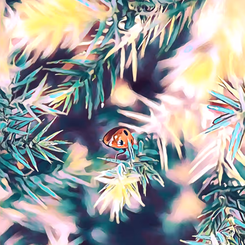 41608778857690482487411606107507343250395388084249972998387532095278205108225