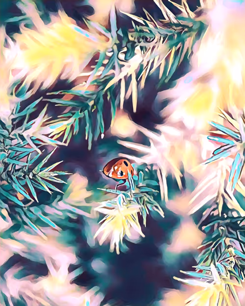 Item #41608778857690482487411606107507343250395388084249972998387532095278205108225 Media