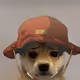 111192260734207196051051594493910007765941924673246411796124672381562713538561