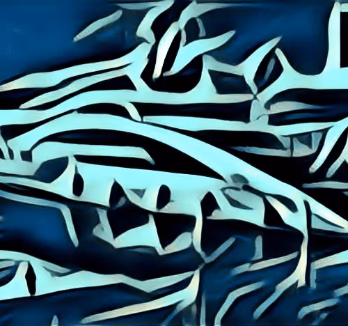 Item #47719262120594009458312727206958307913638126025172247770464288055392850673665 Media