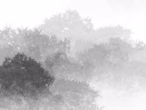 Item #108648420360214736937690321880281304067553396152004957868563263531065251201025 Media