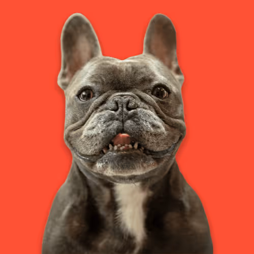 99031261785432219130552668818269695456905868997165113515571762270872719589377