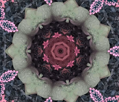 Item #53308188614165939190022800587925776763215599610313940970798170466879793004644 Media