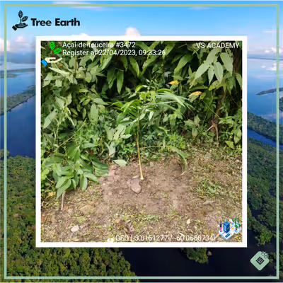 Item #8500196597889277390194123329501889087166328879864934763448349333889709244417 Media