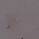 49169151516000133806029922768740760565163816702957134179432489975907035906049