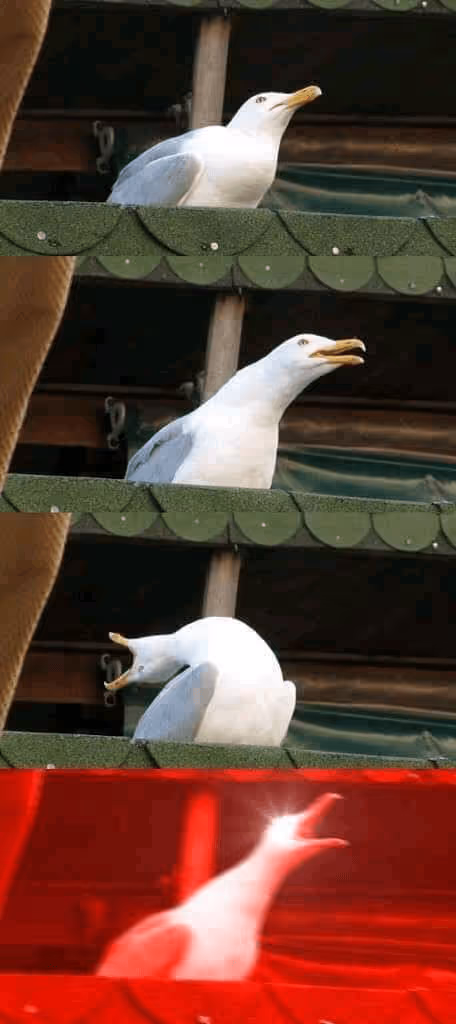 Item #83309335973352281992242797338634474851384716265578833463035715789635417276417 Media