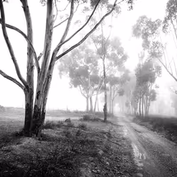 92453260968842960055191976889840526664419783576829596708965298262604609748993