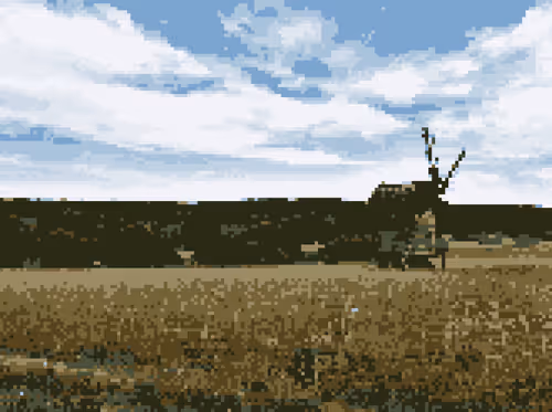 Item #88023804659287008507248903602122530253891021413262004434459426693491426590721 Media