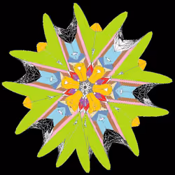 Complex Fractal
