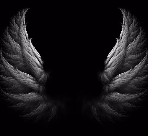 Untitled Collection #517585064