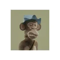 Item #58438194191402783232131875282264543540235880315869551158423032385587587842049 Media