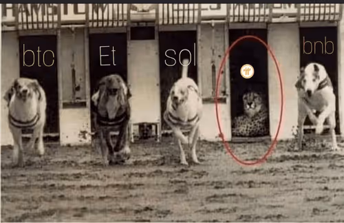 Item #63465259600371401764447365018164001825754237866018535949666571384212489764865 Media