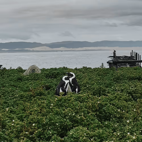 Item #25167707762799451760665528500969838759179821875667517619937927834971678965765 Media