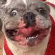 57178215478704077729889003430068495034672874213866141404447727319338186702849