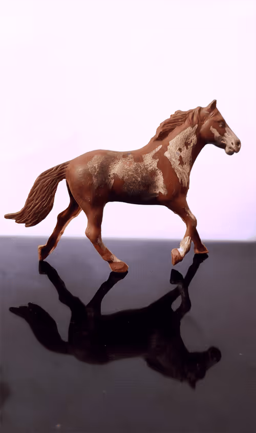 Item #83744598943058006340923454314792856147466055480968082310663932197522083151873 Media