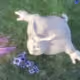 68080251934015663463968689034961370901022888683620895551713888702195218513921