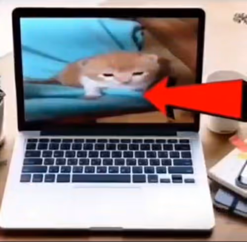 Item #100944255907451799266059540088402657668052309998080285023641344506983148950408 Media