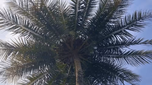 39916610678052500138596211548792698776473563312308341193271399258830032338945