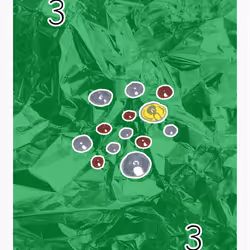 88616899716904079673830621173984426538072062572803848377536091603546293665793