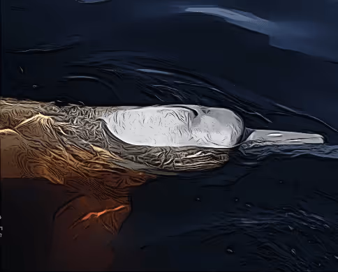 Item #80775902316794198933322065310999531752675870207141919719539670313775522643969 Media