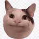 56277161215909493385436671593053614146369915046514748932636886037922985279489
