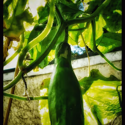 3787080761074609709675817509753112159059746763483256848434353791992384716801