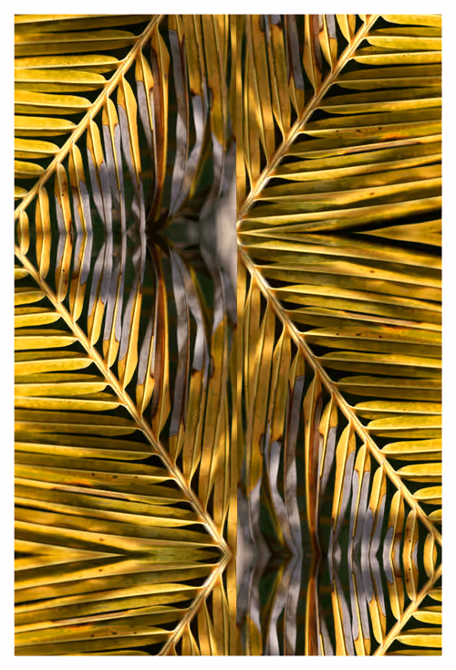 Item #43460632666851788509926658809228942644506618275693919397643606301036486066177 Media