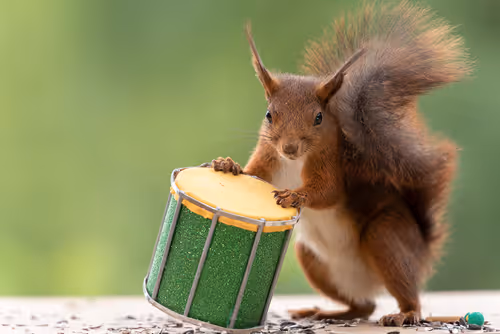 Item #41723246610632705543282218396403645401617984070439185990108432293104457875457 Media