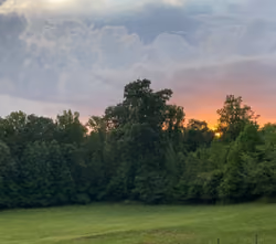 Country Living Storm #1