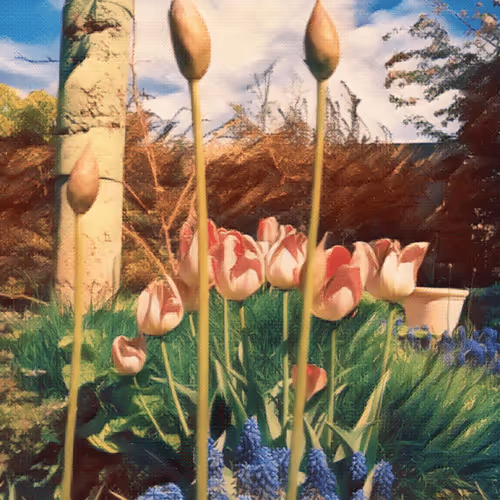 Item #43190579806433981010774040212734353374582811192863113586455236139697351688193 Media