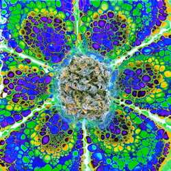 13955282856406335165414100891374623718709547313428947888299033997838253031429