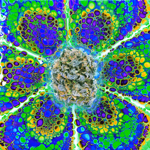 Item #13955282856406335165414100891374623718709547313428947888299033997838253031429 Media