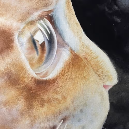 Untitled Collection #128122728