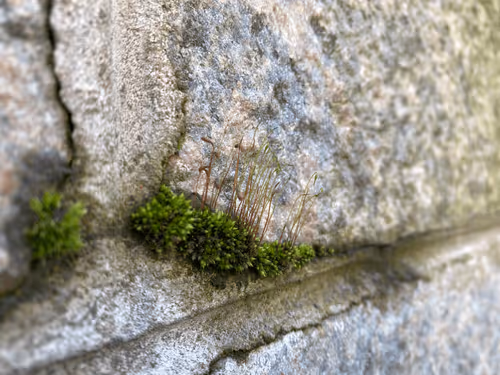 Item #9602564652268761382671895604260682453323108948700269921745857673729086062602 Media