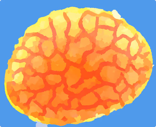 Item #90202358499114476672208303453331118422763954486196048183723504049471134629889 Media