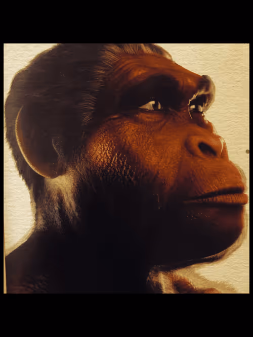 Item #30903240523563283367238861379996807366231755694154577277171086135407457337345 Media