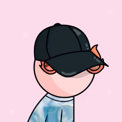 STUPID BOY #1