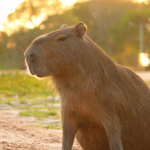 Untitled Collection #49626008