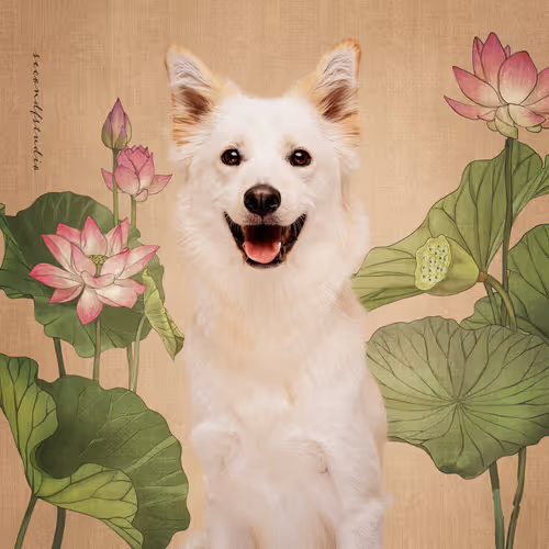 Item #8036610274517614856282005705215780499318604713549687172679363553350530367491 Media