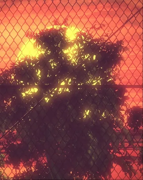 Item #106885659630916646525954333875114062800224643408255237334070489262447763915052 Media