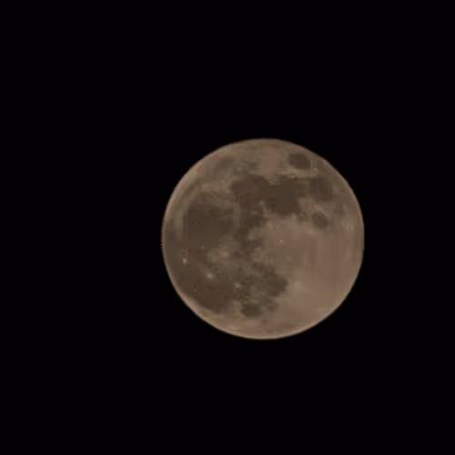 Item #109757676156305388635879862126057466435692101810400145229474898623950206533642 Media