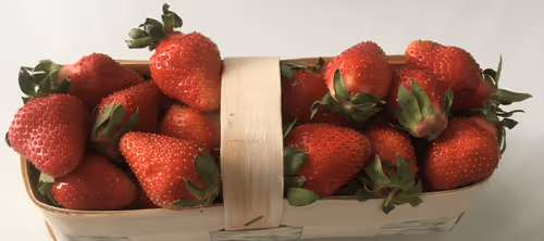 Item #112339910633504213728399095396539794001498957643170945361235603195430256508930 Media